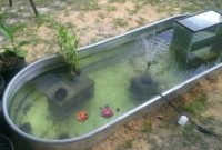 Adorable Fish Ponds Inspirations For Your Home 08