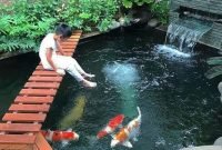 Adorable Fish Ponds Inspirations For Your Home 11