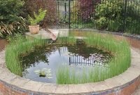 Adorable Fish Ponds Inspirations For Your Home 16