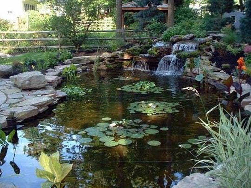 Adorable Fish Ponds Inspirations For Your Home 17