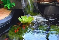Adorable Fish Ponds Inspirations For Your Home 23
