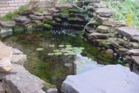Adorable Fish Ponds Inspirations For Your Home 24