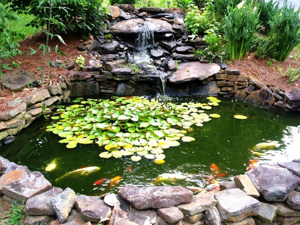 Adorable Fish Ponds Inspirations For Your Home 27