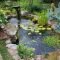 Adorable Fish Ponds Inspirations For Your Home 30
