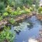Adorable Fish Ponds Inspirations For Your Home 35