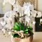 Astonishing Easter Flower Arrangement Ideas That You Will Love 01