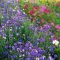 Stunning Spring Flower Garden Ideas With Perfect Lighting To Increase Your Design 05