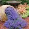 Stunning Spring Flower Garden Ideas With Perfect Lighting To Increase Your Design 17