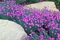Stunning Spring Flower Garden Ideas With Perfect Lighting To Increase Your Design 45